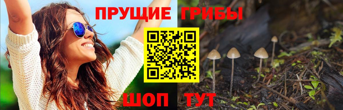 Галлюциногенные грибы Cubensis Туапсе